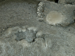 Korallgrottan 2009 - Rapport
 Hero