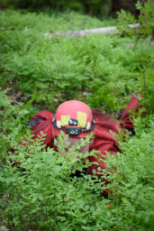 30052025-DSC_8108.jpg