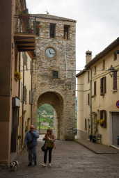 27042025-MedHund-250427_7970.jpg