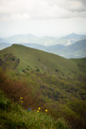 DSC_7740.jpg