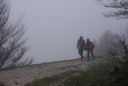 DSC_7761.jpg