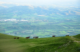 DSC_7776.jpg
