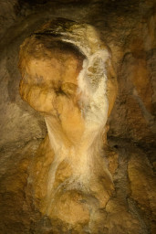 DSC_7887.jpg