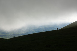 DSC_7963.jpg
