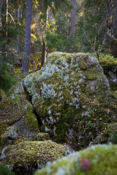 Rudtjärnsgrottan
 Hero
